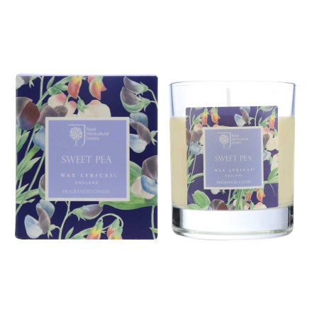 Fragranced Boxed Candle Sweet Pea Doftljus