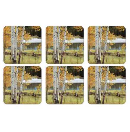 Birch Beauty Glasunderlgg 6-pack