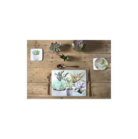 Succulents Bordsunderlgg 4-pack
