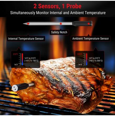 ThermoPro Tempspike Wifi / Bluetooth Digitaltermometer