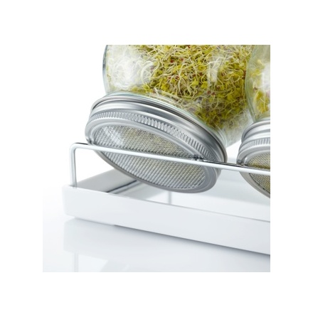 Sprouting Jar Kit  2 groddburkar  950 ml med stll