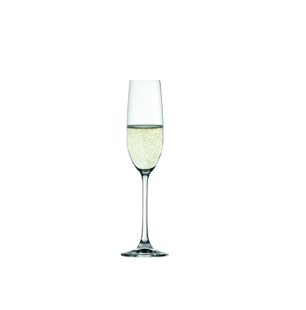 Salute Champagneglas 4-pack